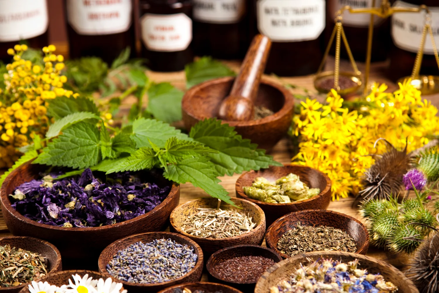 Herbs, Hands, and Healing Spaces: The Secret Formula of Loft Thai – Unveiling a Holistic Path to Well-being
