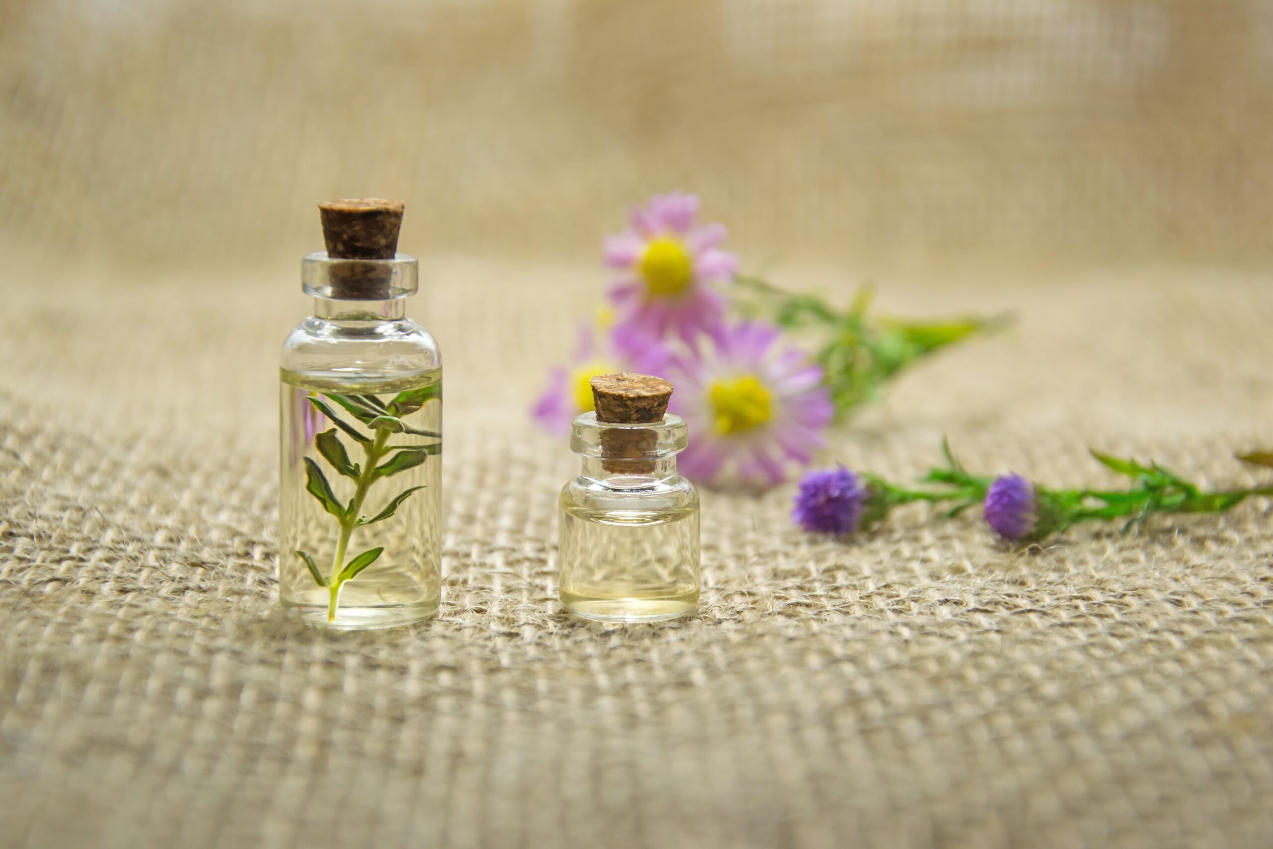 Know Aromachology, the science of aromatherapy.